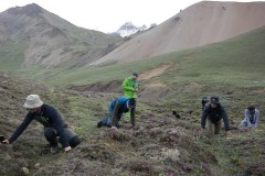 Jhomolhari base camp