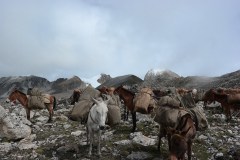 Gangkhar Phuensem
