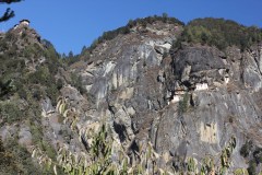 img_1270