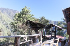 img_1272